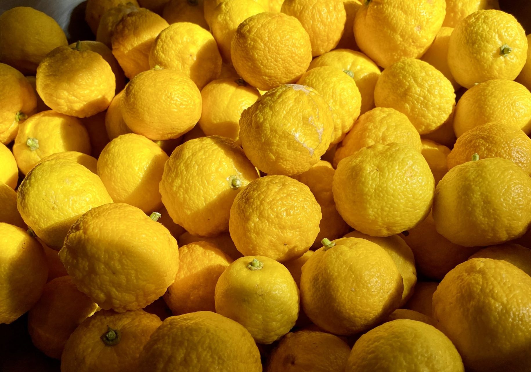 年末年始 営業日のご案内。